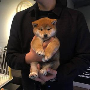 欧美日韩一区二区综合
